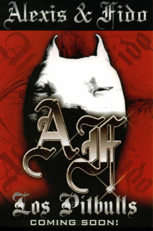 ayf_107.jpg
